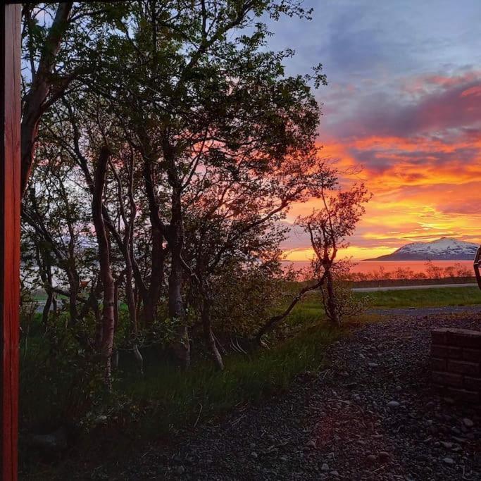 Þorsmoerk Farm 12 Min From Akureyri Daire Svalbarthseyri Dış mekan fotoğraf